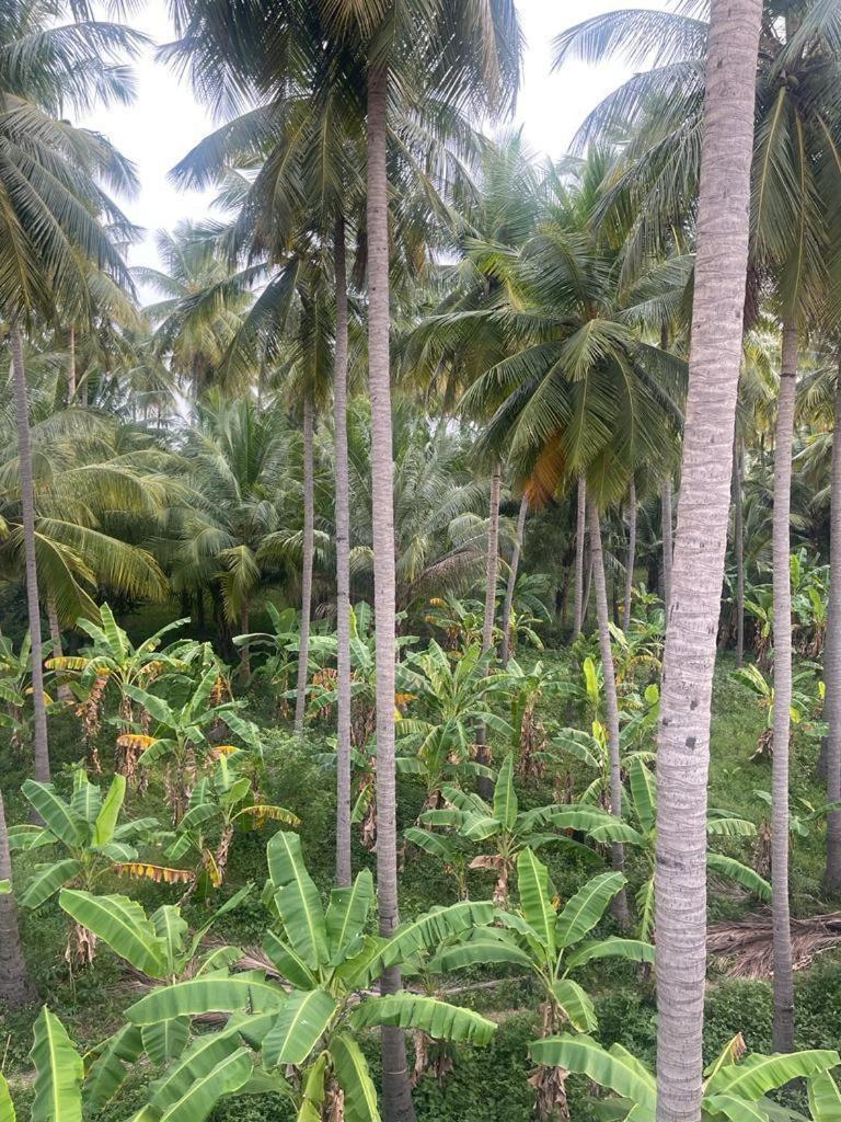 Madurai Home Stay Holiday home